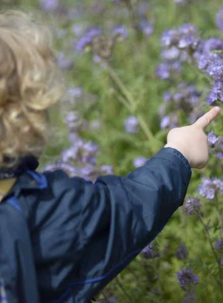 Fête de la Nature au Jardin des Plantes © MNHN - JC Domenech