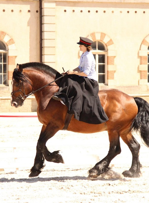 Équivallée - Haras national de Cluny