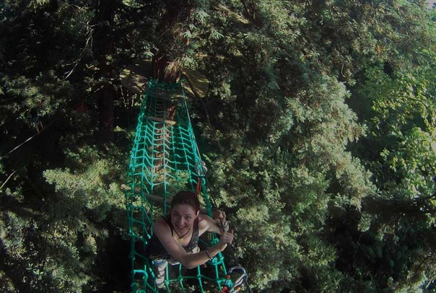 Sequoia Vertigo : pont dans les arbres