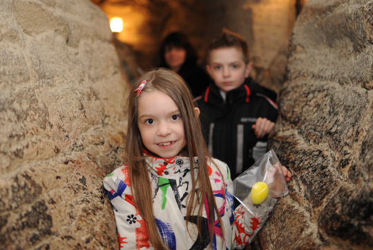 Les oeufs trouvés aux Grottes de la Balme