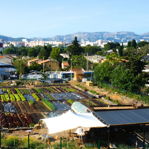 Le Talus - Ferme urbaine