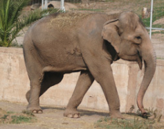 Parc zoologique de Fréjus
