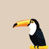 Soirée Brésil à la Maison du Peuple 2017