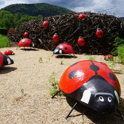 Jardins métissés Parc de Wesserling
