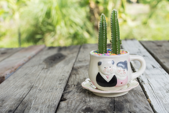 Pot DIY Tasse