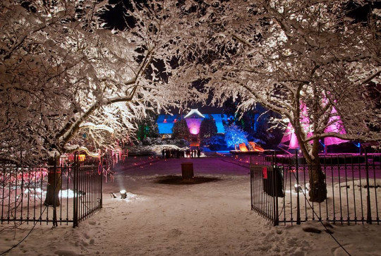 Noël au Jardin au Parc de Wesserling