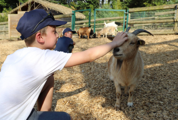 Zoo de Beauval - La mini-ferme