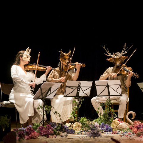 Fanny et Felix - Quatuor Alfama