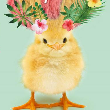 Au printemps tout pousse au Parc Phoenix