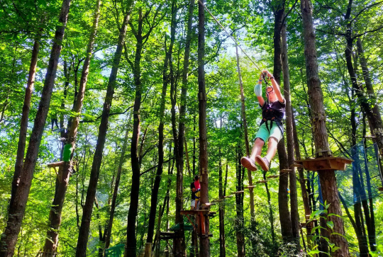Ludana Parc Aventure