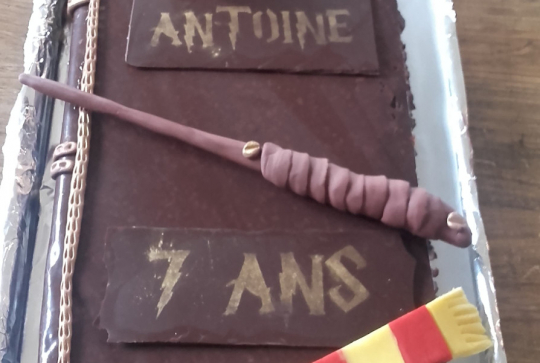Gâteau Harry Potter