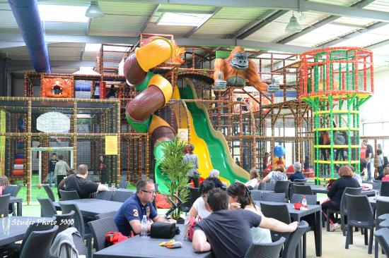 Monkey Park Plaisance du Touch