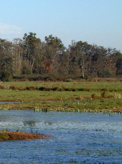 Réserve naturelle de Bruges