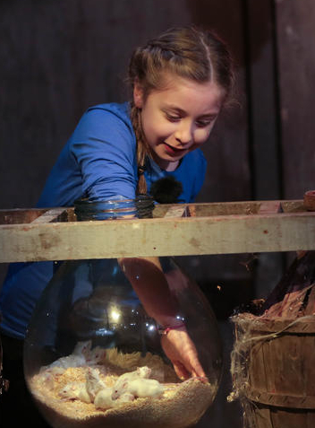 Un anniversaire thème Fort Boyard