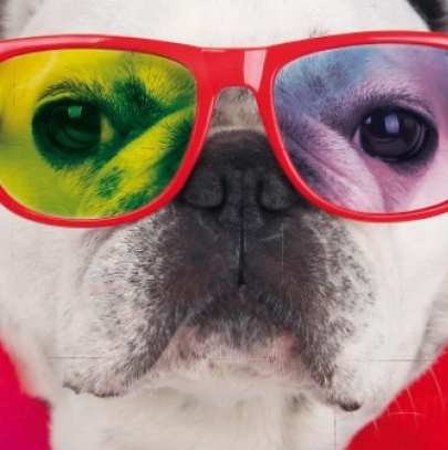 Les Couleurs de l'Univers