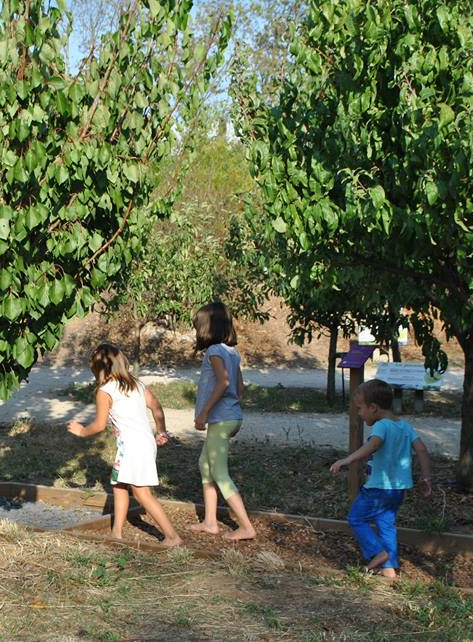 Chasse aux oeufs epicurium