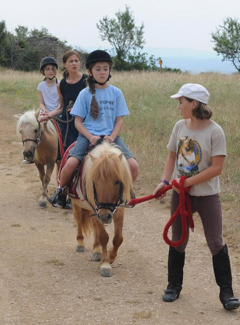 Poney Express Attelage