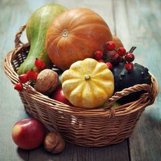 Expo Fruits et légumes