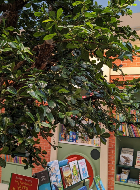 Chantelivre : arbre au milieu des livres