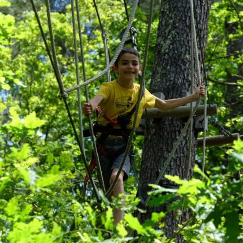 Enfant dans un accrobranche