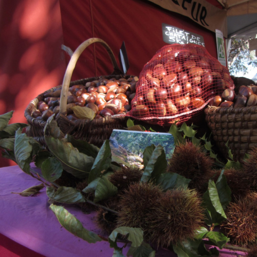 Fête de la Châtaigne à Martigues
