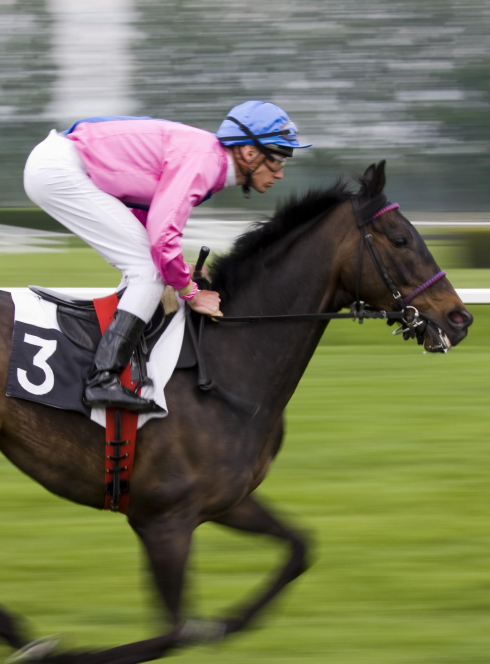 Hippodrome de Hoerdt