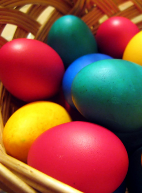 Chasse aux oeufs à la ferme du Moulin du Bois