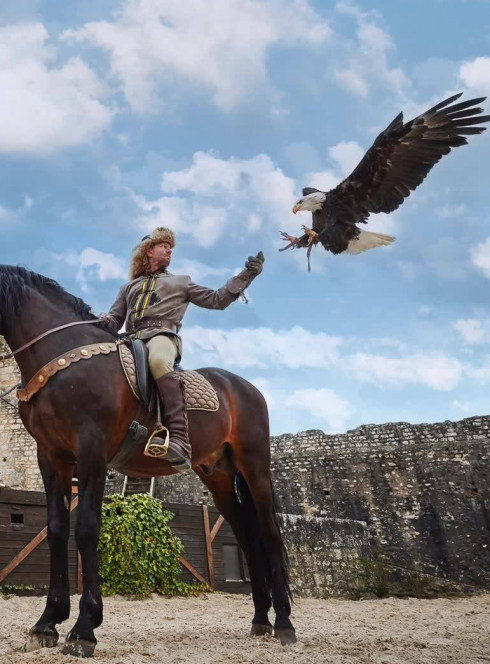 Les Aigles des Remparts à Provins : cheval et aigle