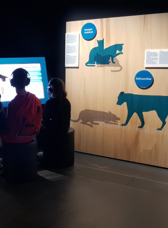 Exposition « Chiens et Chats »