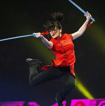 Festival des arts martiaux