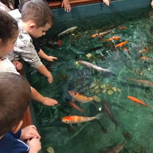 Festival Pêche en Seine 2021