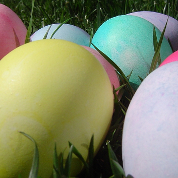 Chasse aux œufs de Pâques 2016 Quartier Ordener