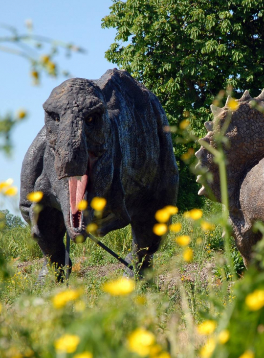 Paléopolis le parc spécial 