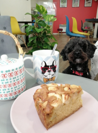 Tea dog