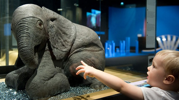 Expo Bébés Animaux © Christian Nitard