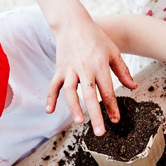 Atelier "Cuisiner la terre" à Little Villette