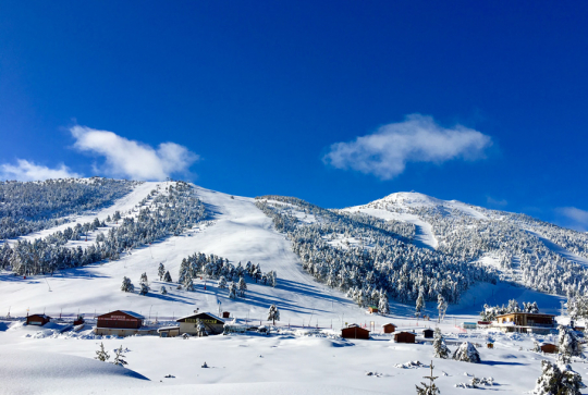 Ski de fond et des raquettes près de Nice : 5 stations à découvrir : Gréolières les Neiges