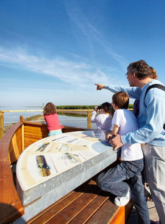 Terre d'estuaire : bateau