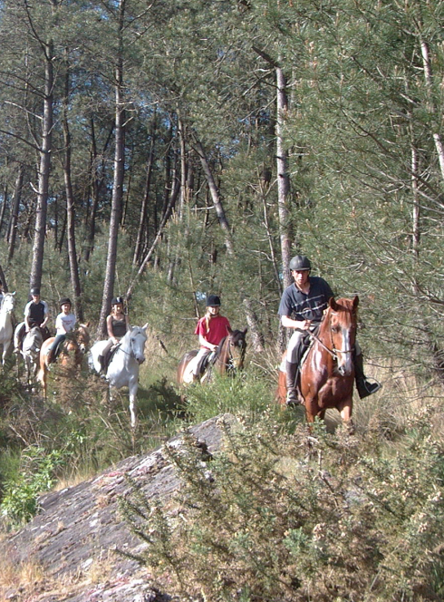 Centre équestre Trémelin