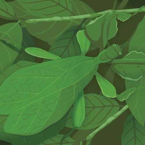Affiche de l'exposition La Nature trompe son monde