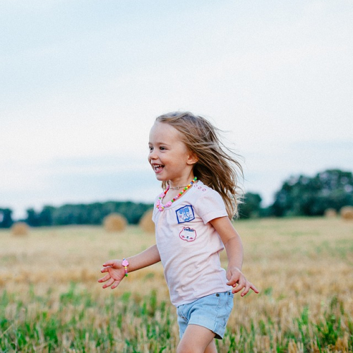 De Nos Fermes 63 été 2019