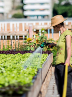 L'atelier du potager