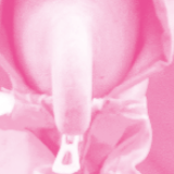 LES IMPAVIDES BRETONS UNE SOMBRE HISTOIRE DE CANALISATIONS