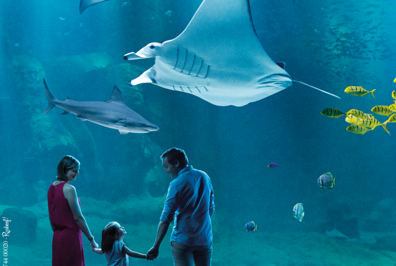 Top 10 des aquariums à visiter en famille en France Citizenkid