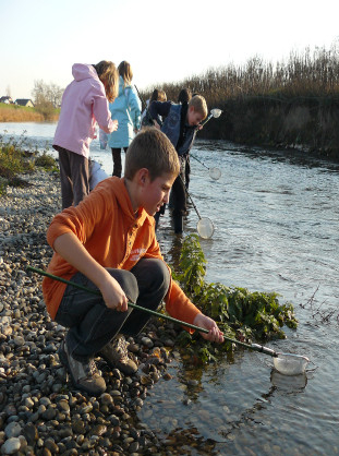 Le petit monde de l'eau