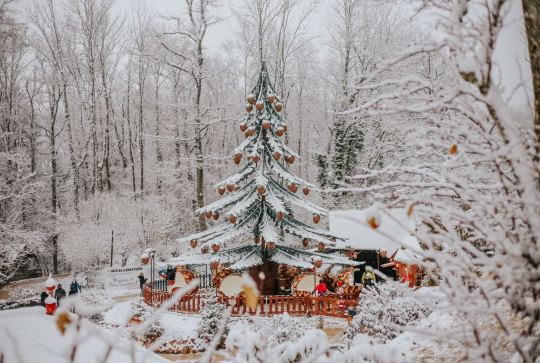 Monts du Genevois : 3 jours pour s’évader en famille - Grand Parc Noël sapin
