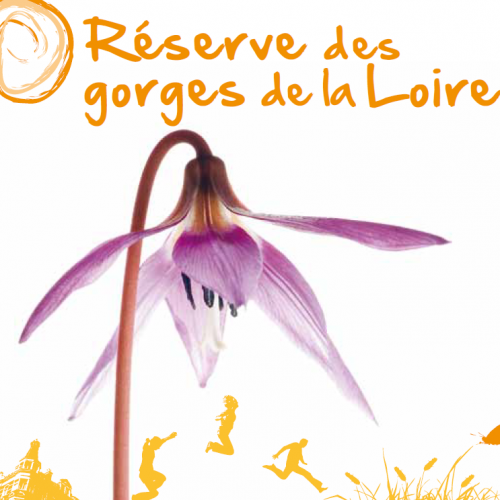 FRAPNA - gorges de la Loire