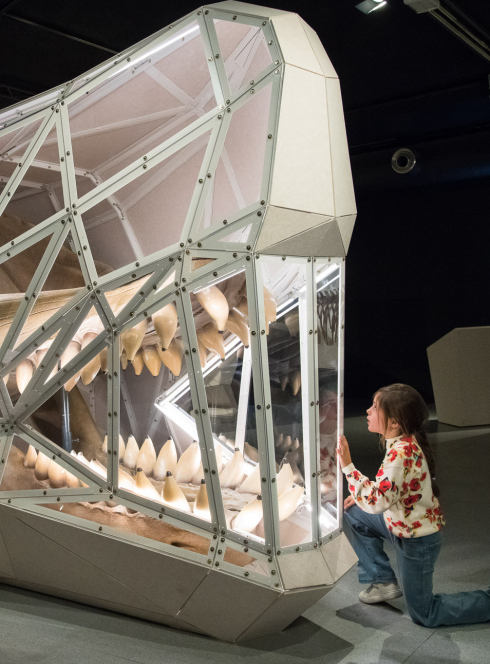 Expo Géants au Muséum de Toulouse