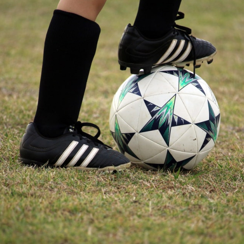 Forum Sport à Clermont