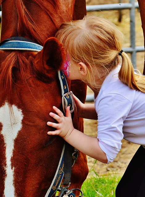les estivales des hippodromes de Marseille